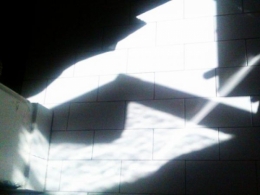 Carvos Loup, photographie