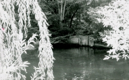 Sara, marais de Bourges