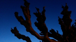 20150224_192022.jpg