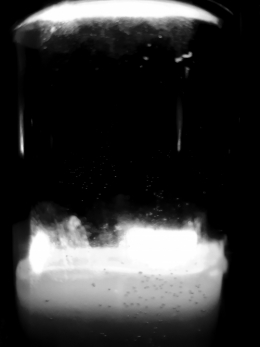 20191229_202621.jpg
