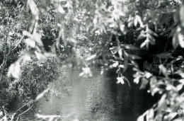 Sara, marais de Bourges