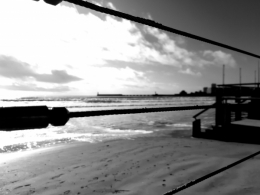 20201112_125400.jpg