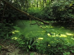 2014.06.02.Grostière10.jpg