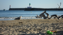 Sables d'Olonne, Sables de septembre, Mavra Nicolaïevna Novogrochneïeva, mouettes, plages, Olonne