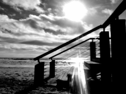 20201112_125045.jpg