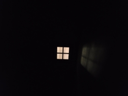 20230203_182857.jpg