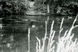Sara, marais de Bourges