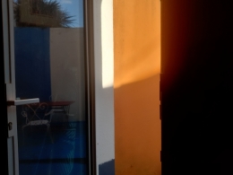 20210729_192912.jpg