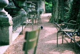 Roll1.MedicisPigeonAllee.5-500x338.jpg