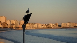 Mavra_0689.JPG