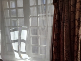 20221011_125912.jpg