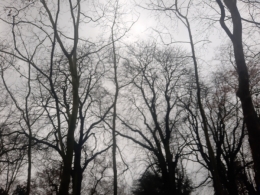 20211225_154856.jpg