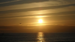 ésotérisme, Pierre Riffard, René Char, lucidité, soleil