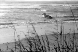 4 Ilford 125.jpg