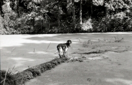 Gange, Sara, chemin des Dames