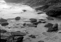 7 Ilford 125.jpg