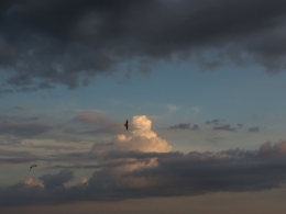 iftar, nuages, sara
