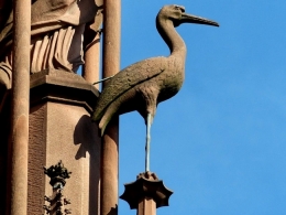 image_cigogne_cathedrale_strasbourg.jpg