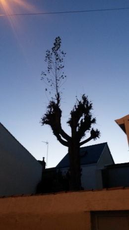 20141209_173721.jpg