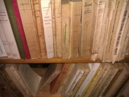 Biblio pied noir.jpg