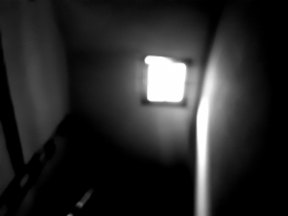 20201121_160042.jpg