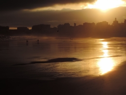 Or5 2015.07.17.LS6.jpg