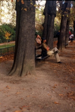 Luxembourg bancs.jpg