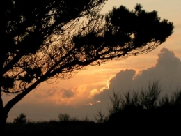 DSCN0805.jpg