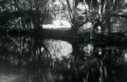 Sara, marais de Bourges