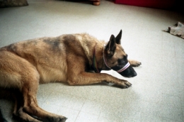 1991.ChenilMichelHasbrouck.4.jpg