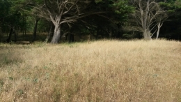 20170702_175526.jpg
