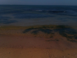 jacques benoist-méchin,un printemps arabe,albin michel,ras-tanura,golfe persique,dahran,mina-el-achmadi,damman,nacre,moire,styliste français,les feuilles mortes,clairvaux,prison de clairvaux