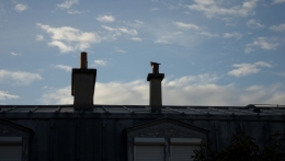 pigeon tranquille.JPG