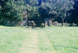 jardins.jpg