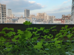 20190412_195855.jpg
