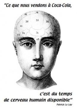 cerveau dispo.jpg