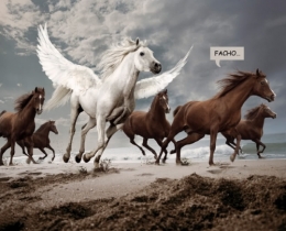panache blanc.jpg