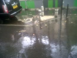 IMG02285-20130906-1055.jpg