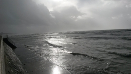 20161121_113801.jpg