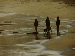 2014.06.30.LS.Sur la plage1.jpg