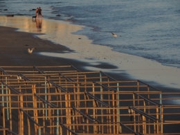 2014.06.30.LS.Plage18.jpg