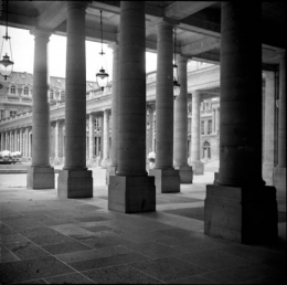 Palais Royal les pilersb.jpg
