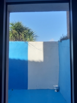 20201005_163932.jpg