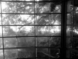 IMG_20140521_175337.jpg