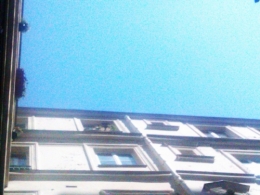 bleu denoël.jpg