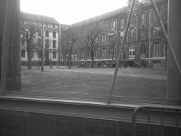 IMG00149-20121221-1052.jpg