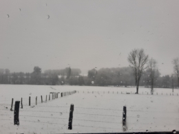 20211128_115128.jpg