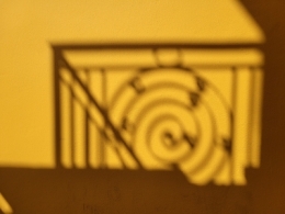 20220829_115928.jpg