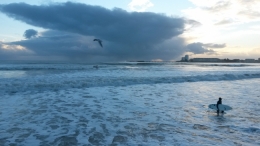surf.jpg