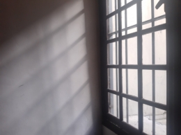 20210513_173553.jpg